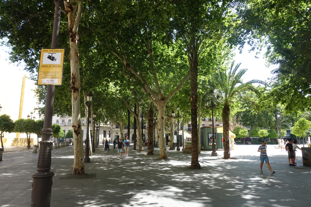 Izlet_v_mesto_Seville_-_Trip_to_the_city_of_Seville_16.JPG