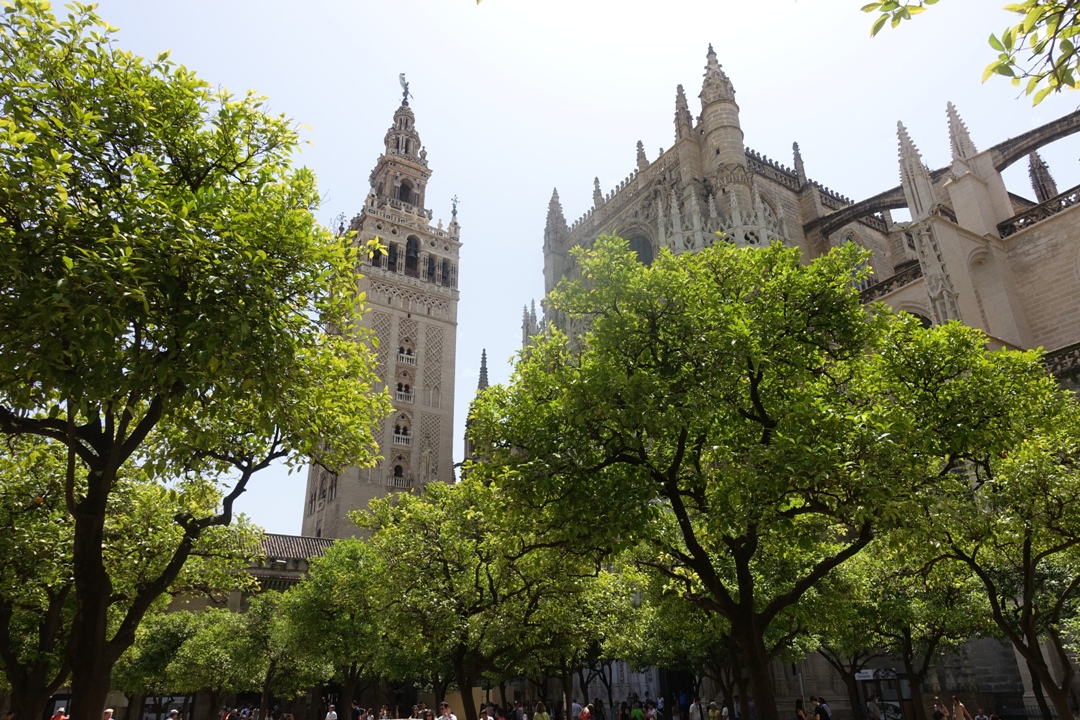 Izlet_v_mesto_Seville_-_Trip_to_the_city_of_Seville_2_1.JPG