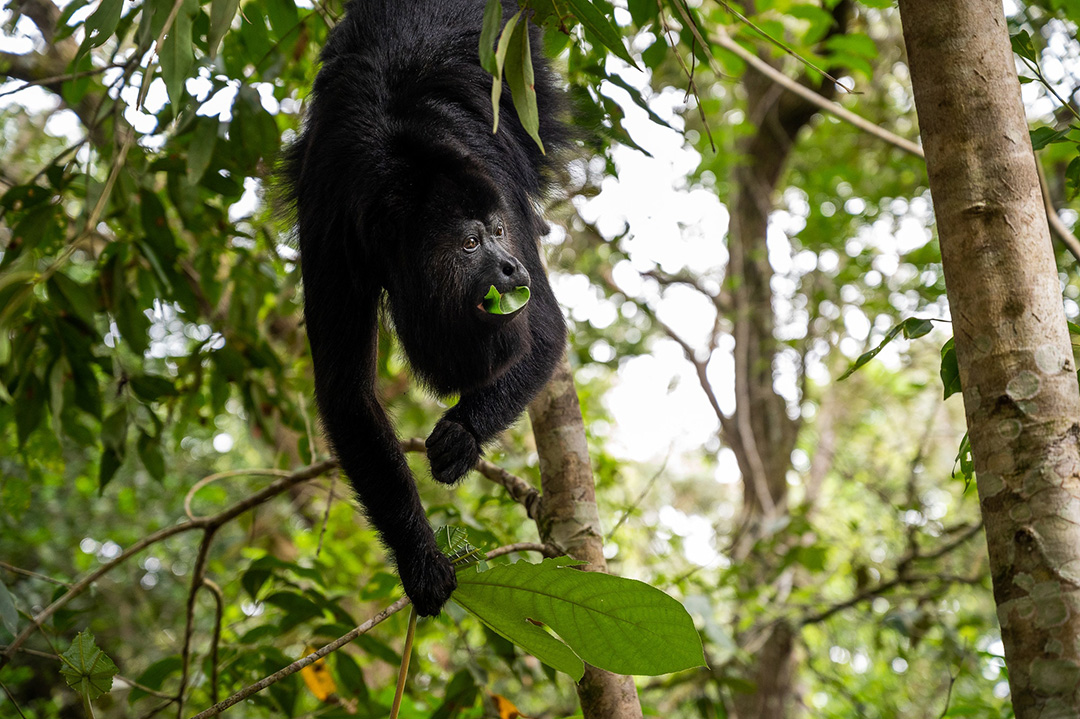 Potovanje_v_Belize_-_Traveling_to_Belize_8.jpg