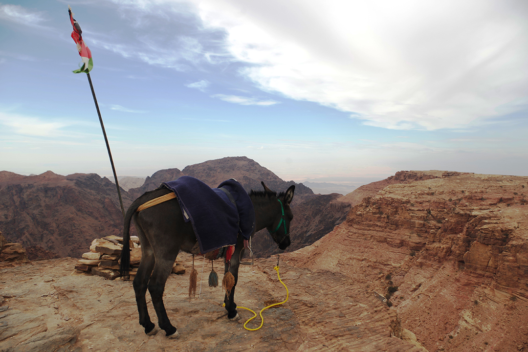 Travelling_to_Jordan_-_Potovanje_v_Jordanijo_7.JPG