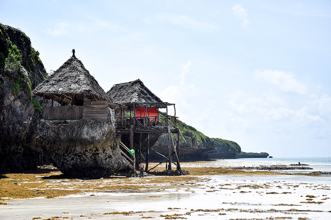 Potovanje_na_Zanzibar_-_Travelling_to_Zanzibar_1.jpg