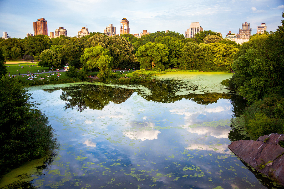 07_Potepanje_po_New_Yorku_-_Wandering_around_New_York_-_Central_Park_-_Photo_by_Hector_Arguello_Canals_on_Unsplash.jpg