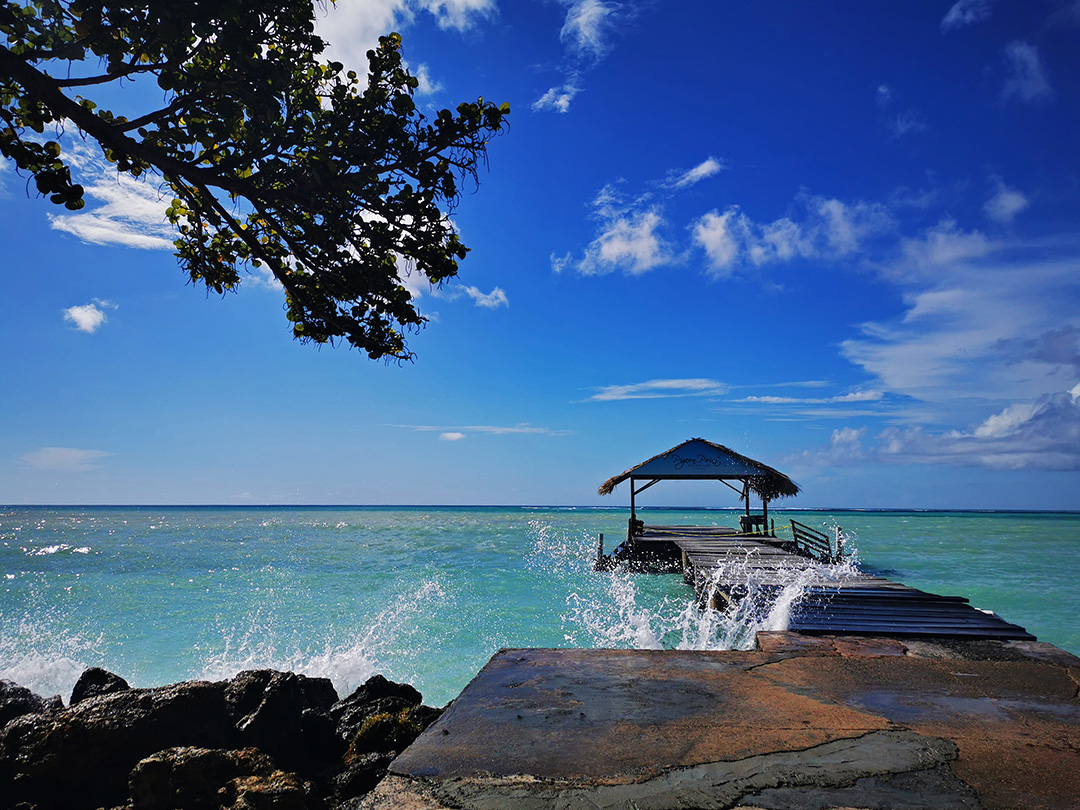 Potovanje_v_drzavo_Trinidad_in_Tobago_-_Travel_to_the_country_of_Trinidad_and_Tobago_6.jpg