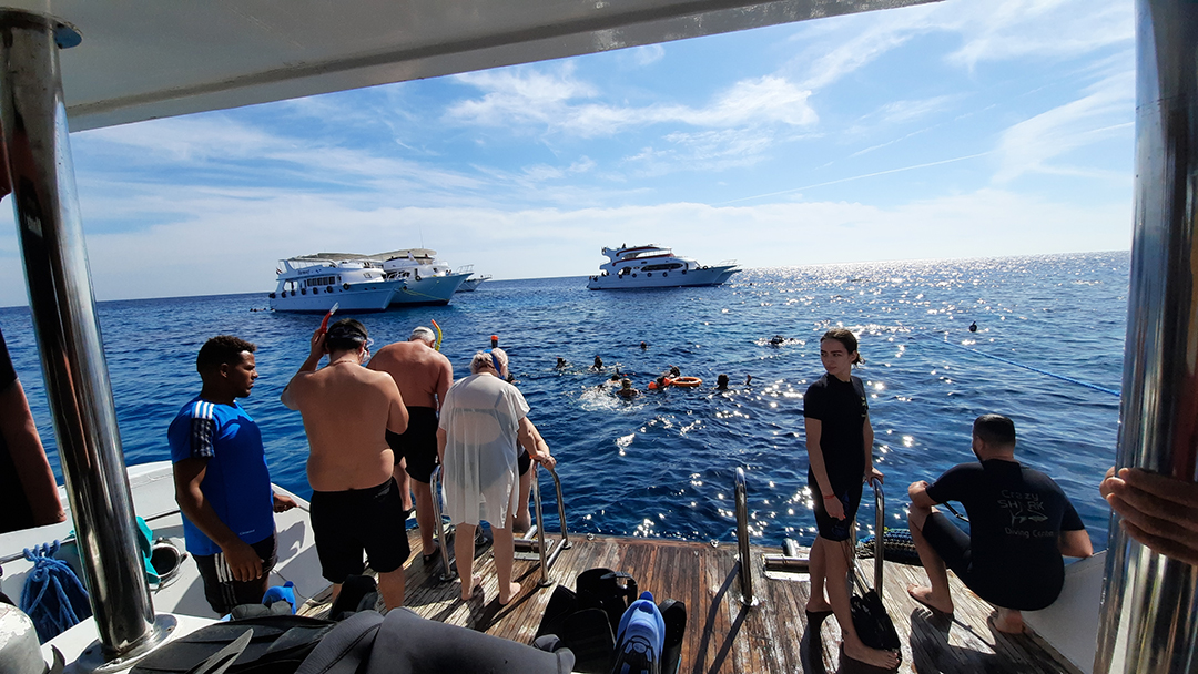 Potovanje_v_Egipt_v_Sharm_El-Sheikh_-_Travel_to_Egypt_in_Sharm_El-Sheikh_3.jpg