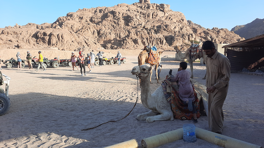 Potovanje_v_Egipt_v_Sharm_El-Sheikh_-_Travel_to_Egypt_in_Sharm_El-Sheikh_9.jpg