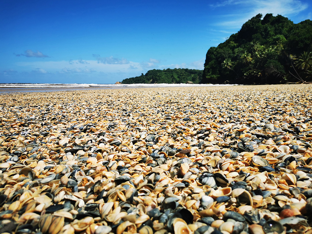 Potovanje_v_drzavo_Trinidad_in_Tobago_-_Travel_to_the_country_of_Trinidad_and_Tobago_11.jpg