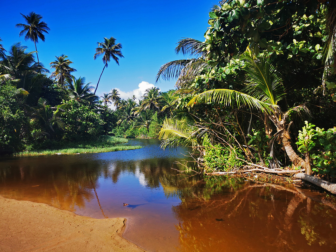 Potovanje_v_drzavo_Trinidad_in_Tobago_-_Travel_to_the_country_of_Trinidad_and_Tobago_16.jpg
