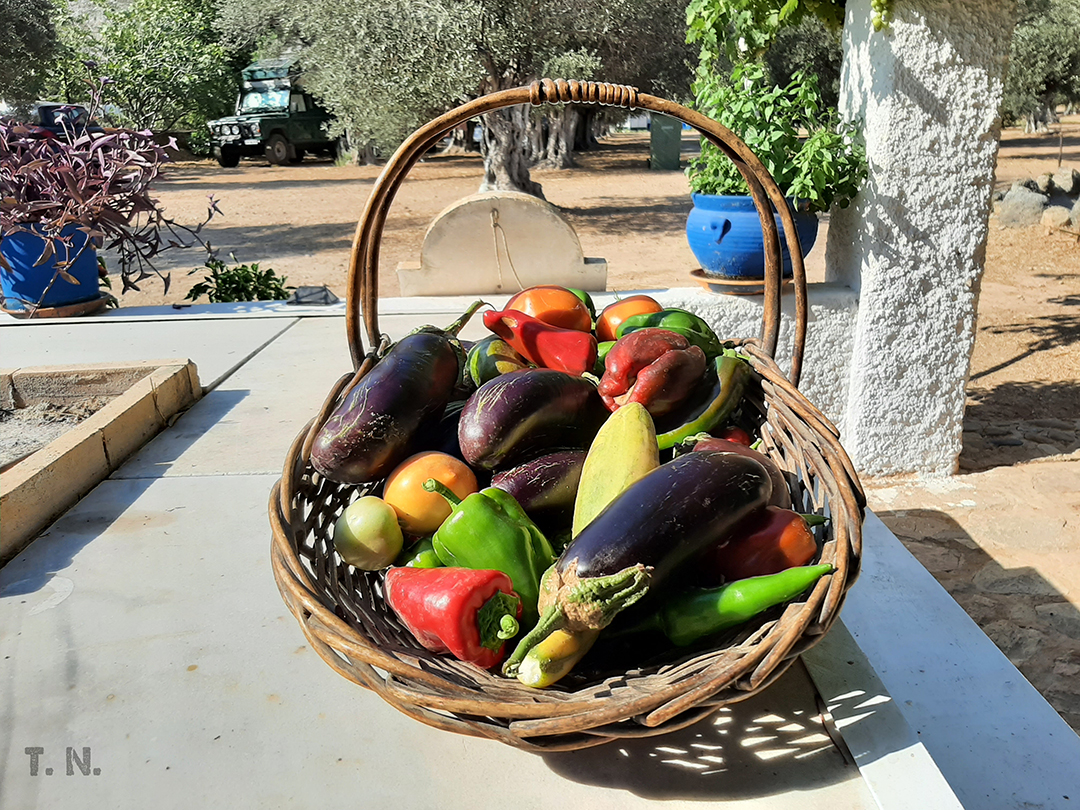 Grska_Avantura_-_Greek_Adventure_2.jpg