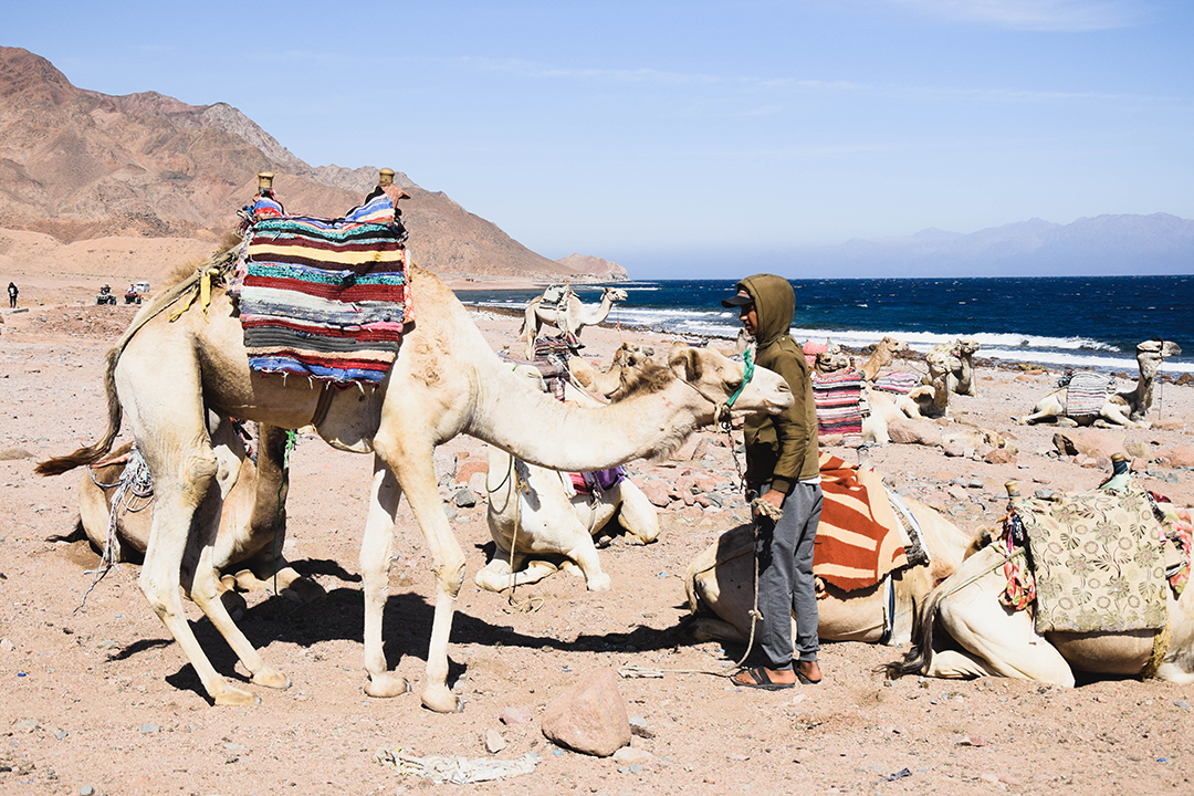 Raziskovanje_Bliznjega_vzhoda_-_Exploring_the_Middle_East_3.jpg