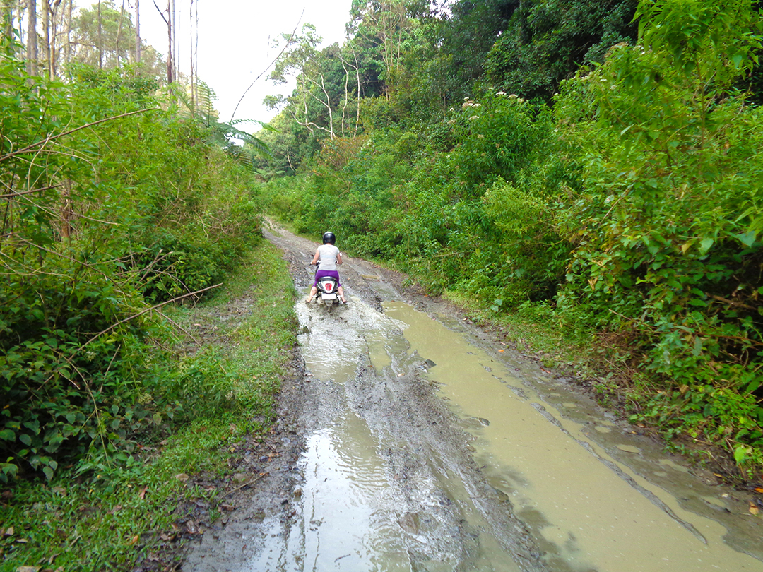 Potovanje_na_Sumatro_-_A_trip_to_Sumatra_5.JPG