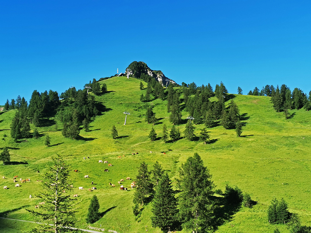 Potovanje_v_Svico_-_A_trip_to_Switzerland_46.jpg
