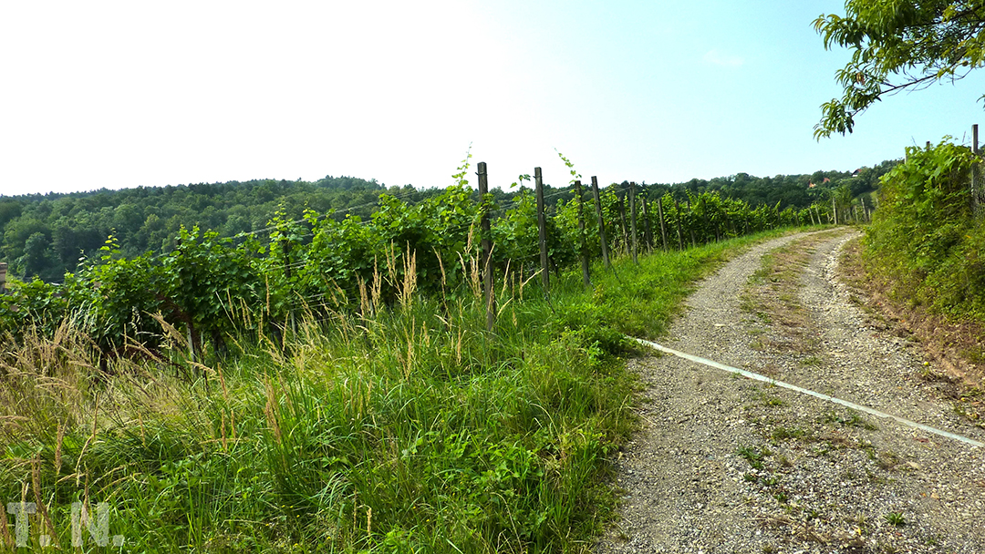 Tek_kot_posebna_oblika_potovanja_-_Running_as_a_special_form_of_travel_6.jpg