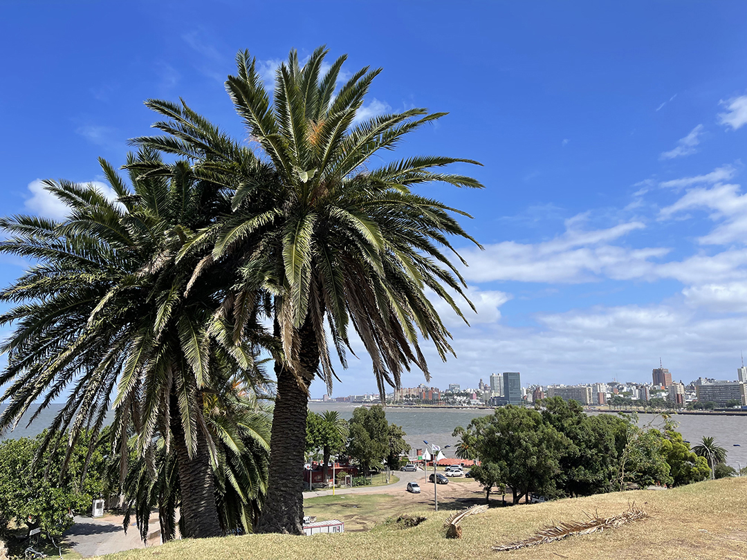 Potovanje_po_Argentini_-_Traveling_around_Argentina_10.jpg