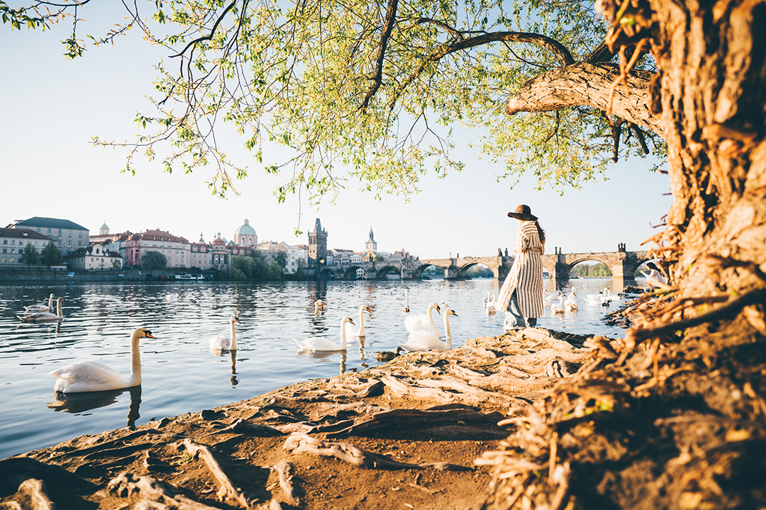 06_Popoln_oddih_v_Pragi_-_Perfect_Getaway_in_Prague_-_ENVATO.jpg