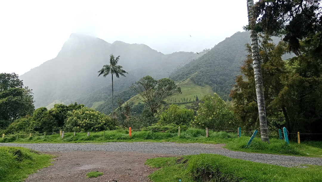 Potovanje_po_Kolumbiji_-_Traveling_through_Colombia_1.jpg