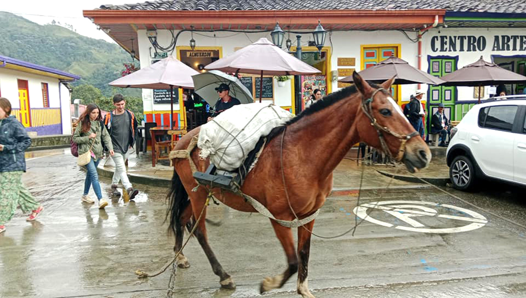 Potovanje_po_Kolumbiji_-_Traveling_through_Colombia_23.jpg