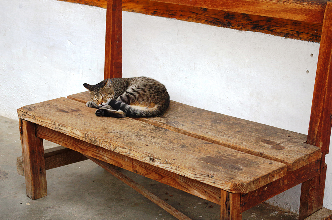 Butan_potopis_-_Bhutan_travelogue_13.JPG