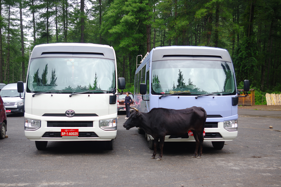 Butan_potopis_-_Bhutan_travelogue_2.JPG