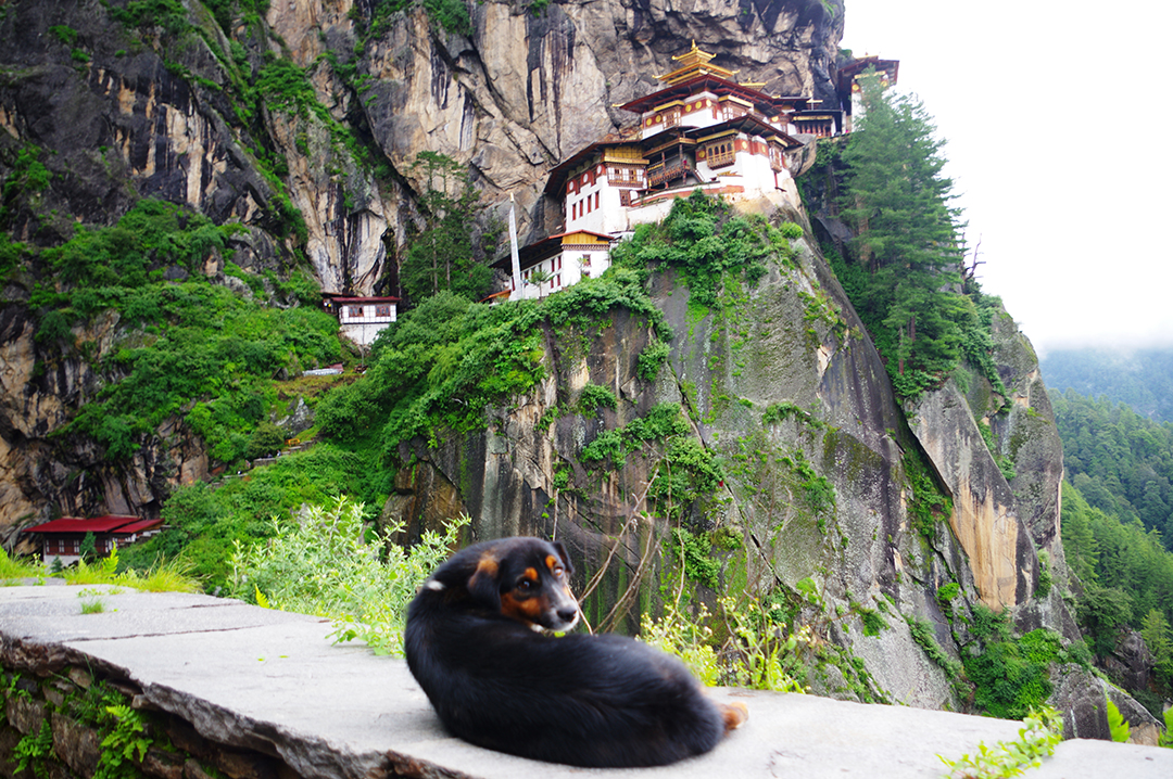 Butan_potopis_-_Bhutan_travelogue_6_1.JPG