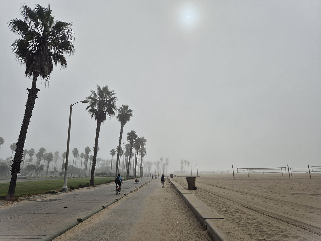 A foggy morning scene at Venice Beach, with palms and a quiet boardwalk capturing the unique coastal atmosphere of Los Angeles.