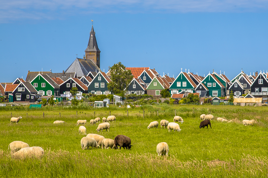 A charming Dutch village with wooden houses and open fields, capturing the quiet countryside spirit.