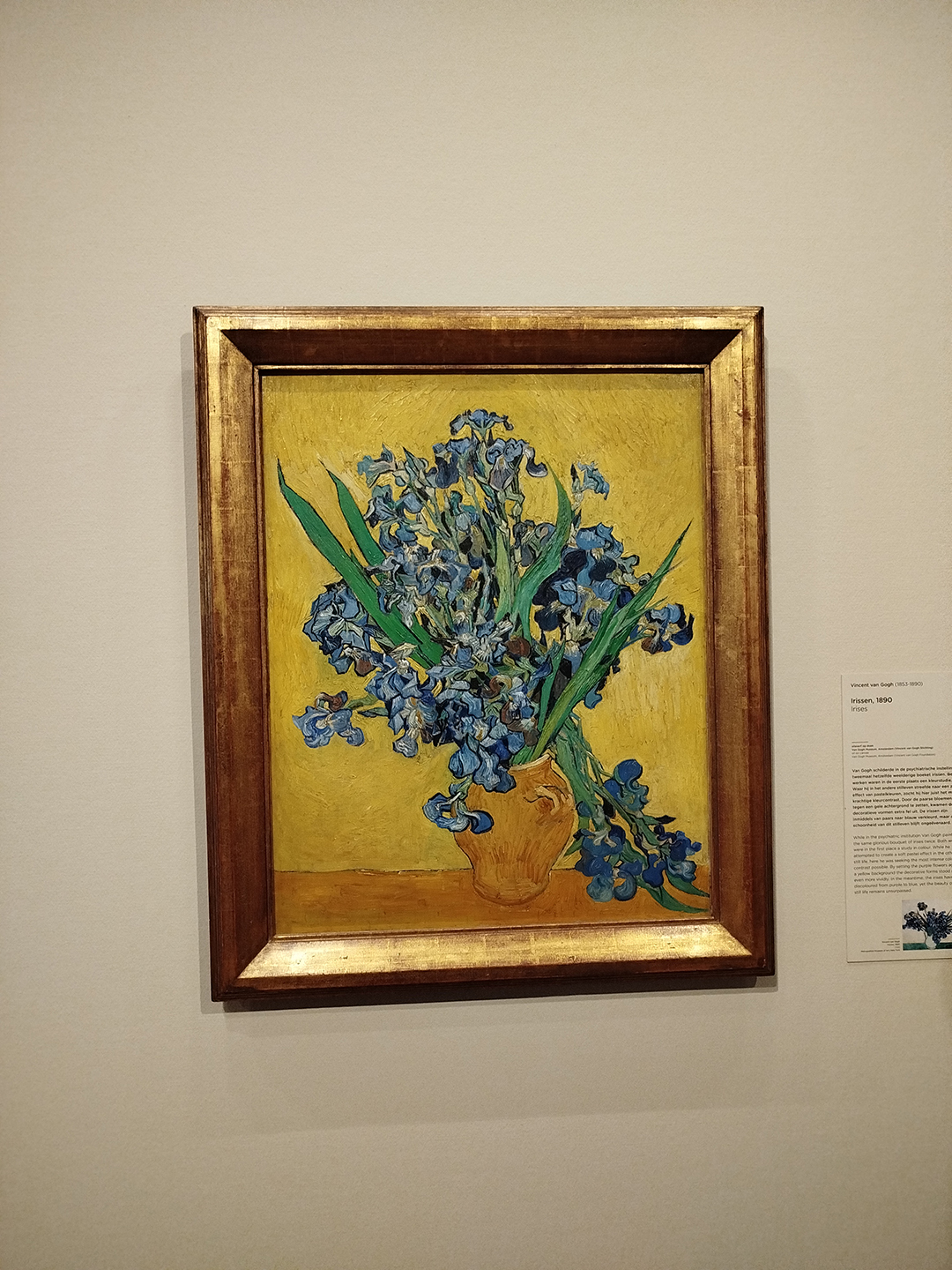 Irises (1890) painting by Vincent van Gogh created in Saint-Rémy-de-Provence and displayed in the Van Gogh Museum in Amsterdam.