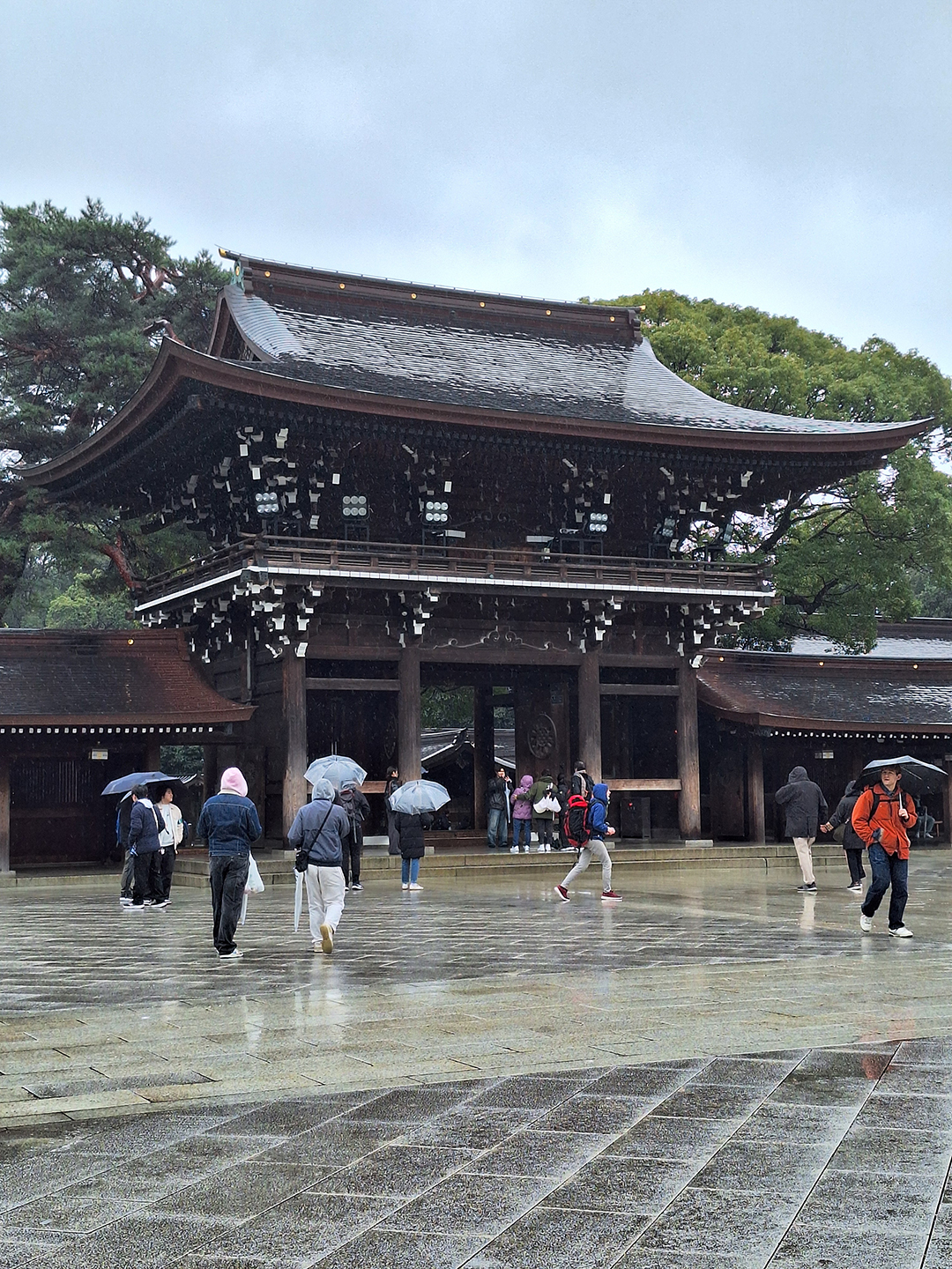 Visitors entering Meiji Jingu Shrine in Tokyo, a historic Shinto sanctuary surrounded by forest where traditional architecture and spiritual atmosphere offer a peaceful contrast to the busy city.