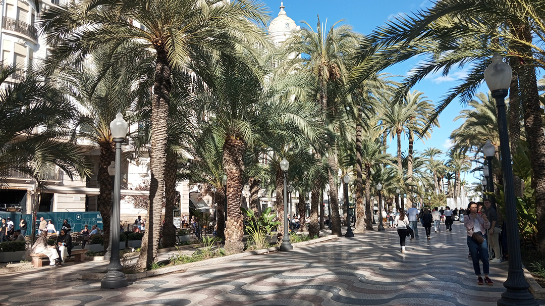Sončna promenada s palmami v Alicanteju prikazuje sproščeno mediteransko vzdušje ob španski obali Costa Blanca.