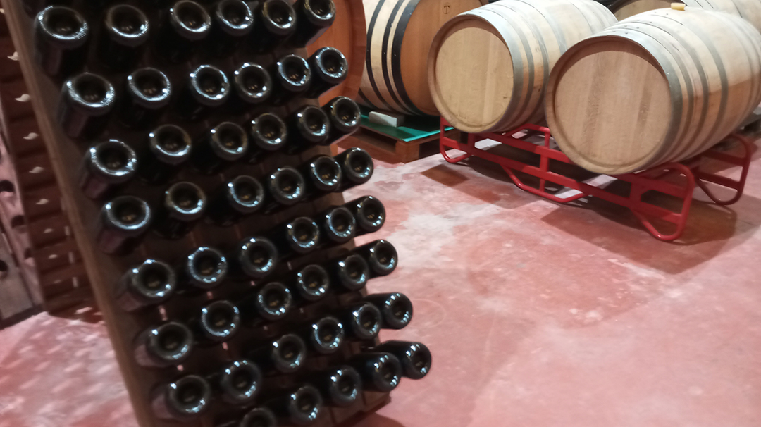 Steklenice vina in leseni sodi v kleti Claudio prikazujejo proces staranja vina v Španiji.