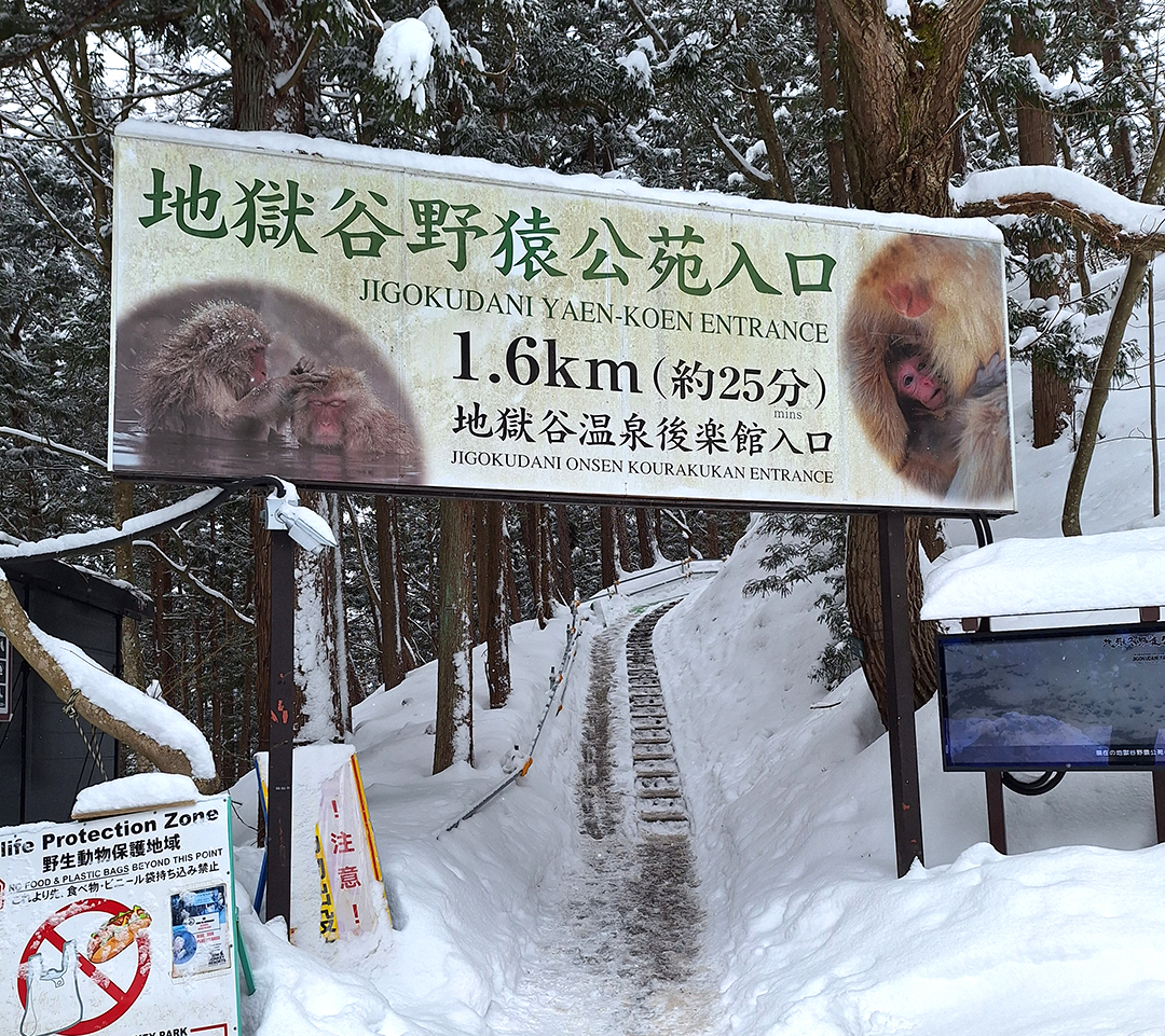 Vhodna tabla za park snežnih opic Jigokudani Yaen-Koen v zasneženi pokrajini na Japonskem