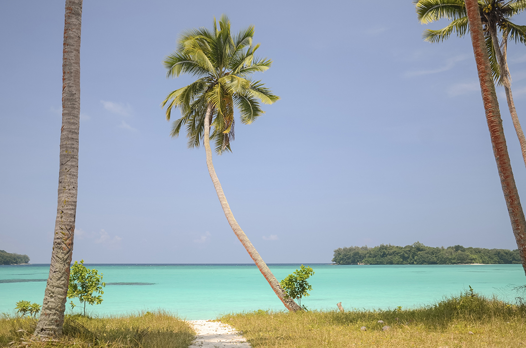 Pogled na tropsko plažo Port Olry na otoku Espiritu Santo razkriva bel pesek, turkizno morje in neokrnjeno naravo Vanuatuja.