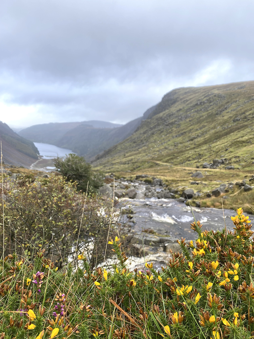 Jesenska pokrajina doline Glendalough z reko in gorovjem Wicklow