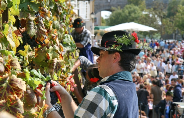 49_Old_wine_festival_Maribor_Author_Old_wine_festival_Maribor_.JPG